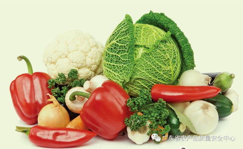 綠色食品 食用農產品科普指南
